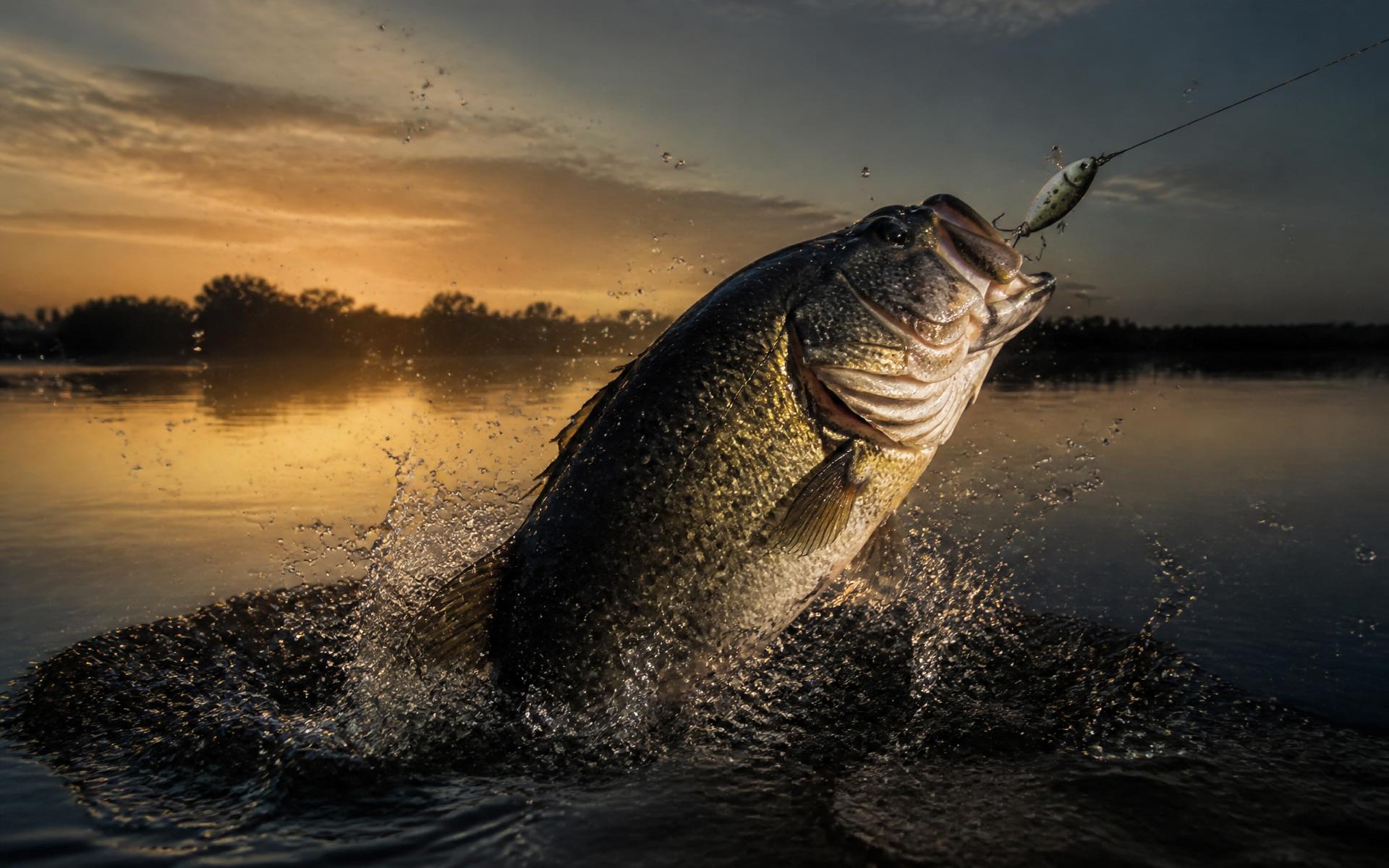 Strike Labs lure being fished